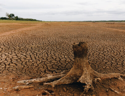 วิกฤต ภัยแล้งบุรีรัมย์ ช่วยกันประหยัดน้ำเริ่มต้นง่ายๆ จากในบ้านคุณ